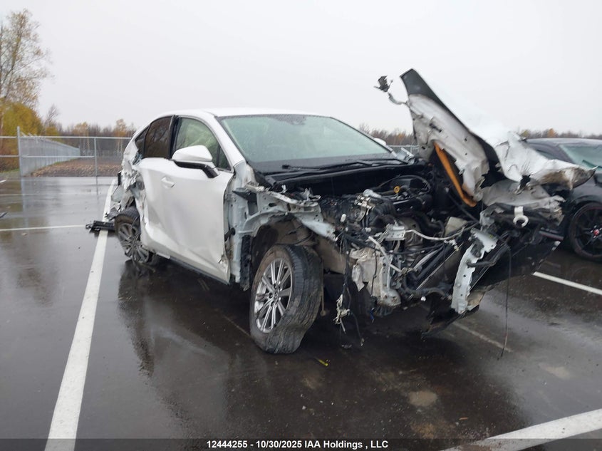 JTJAARDZ1M5027728 2021 LEXUS NX photo no. 6