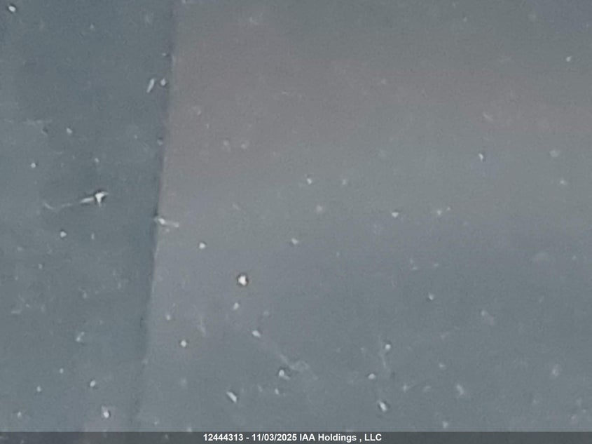 2009 Volkswagen Passat Cc Highline V6 VIN: WVWGU93CX9E555891 Lot: 12444313