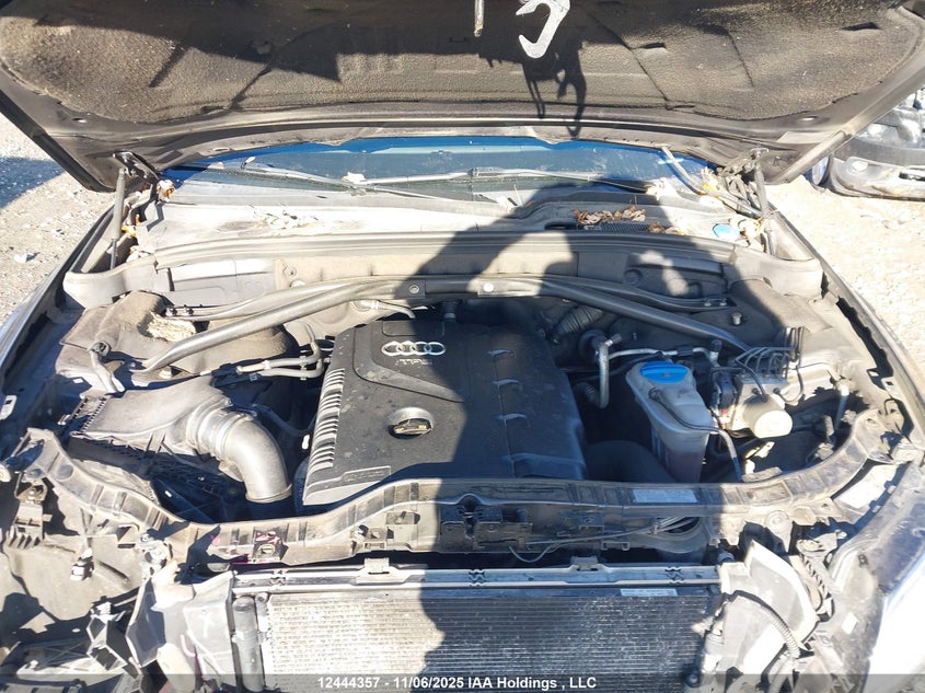 2014 Audi Q5 Progressiv VIN: WA1MFCFP5EA061376 Lot: 12444357