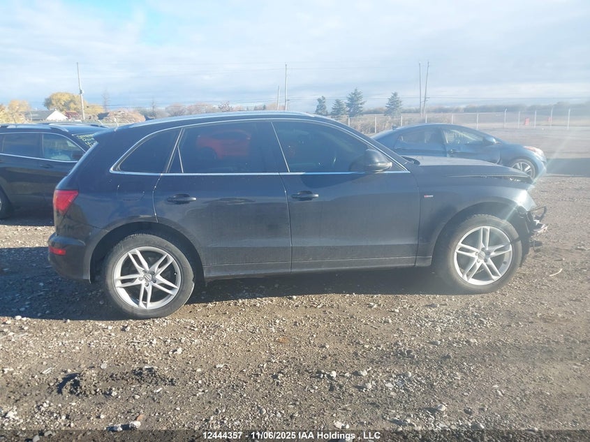 2014 Audi Q5 Progressiv VIN: WA1MFCFP5EA061376 Lot: 12444357