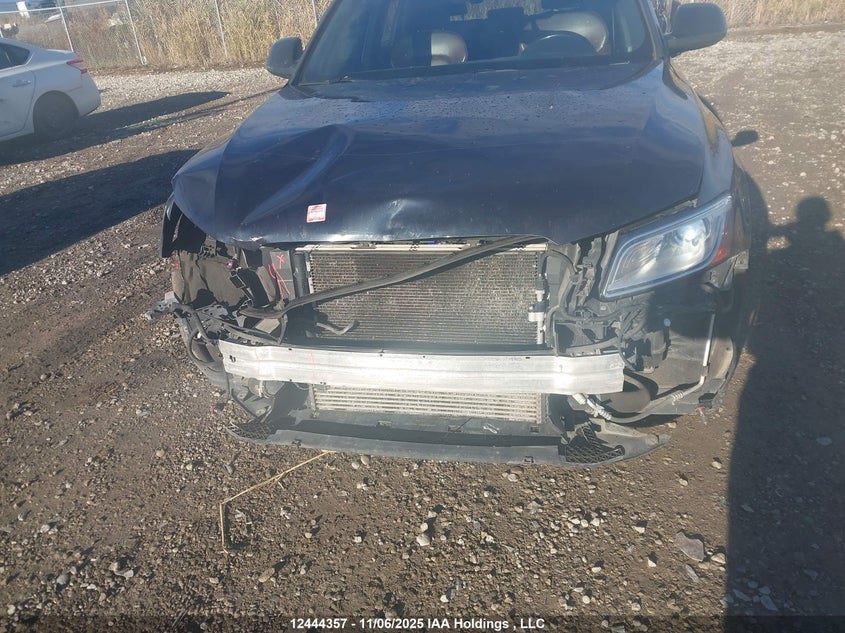 2014 Audi Q5 Progressiv VIN: WA1MFCFP5EA061376 Lot: 12444357