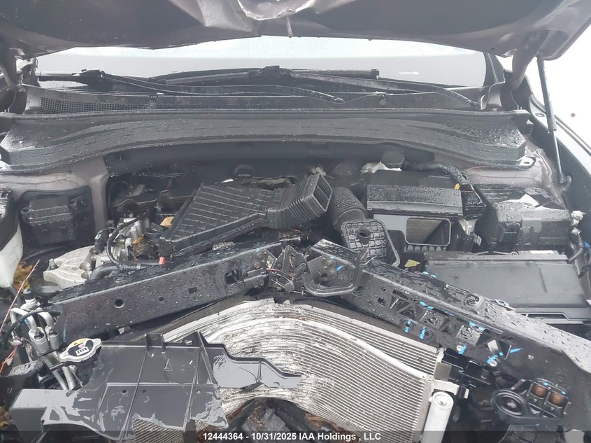 2020 Hyundai Santa Fe Sel/Sel Plus VIN: 5NMS3CAD9LH147344 Lot: 12444364