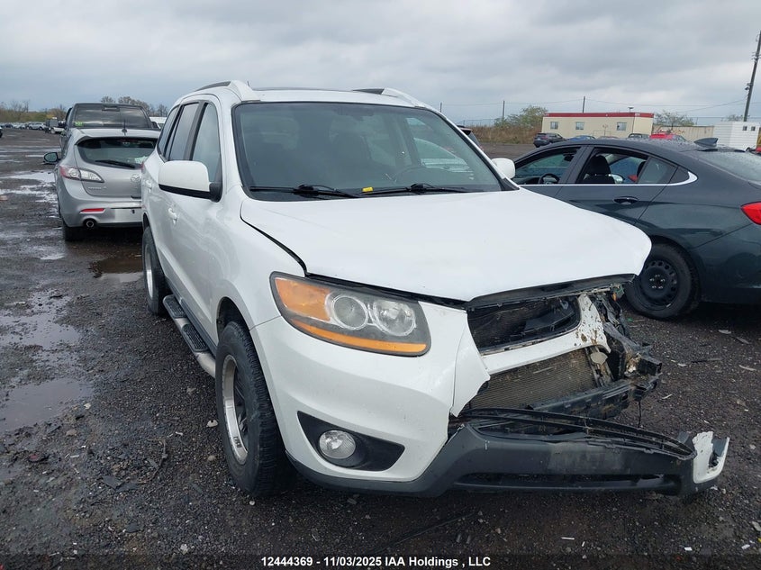5NMSGDAG5AH335764 2010 HYUNDAI SANTA FE photo no. 16