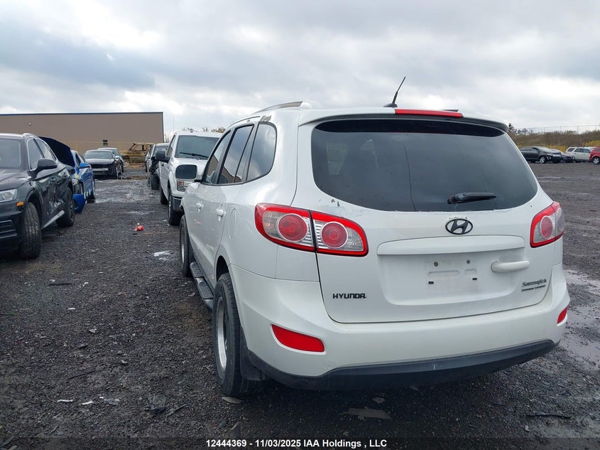 5NMSGDAG5AH335764 2010 HYUNDAI SANTA FE photo no. 3