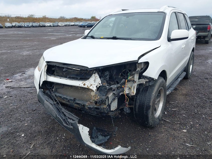 5NMSGDAG5AH335764 2010 HYUNDAI SANTA FE photo no. 6