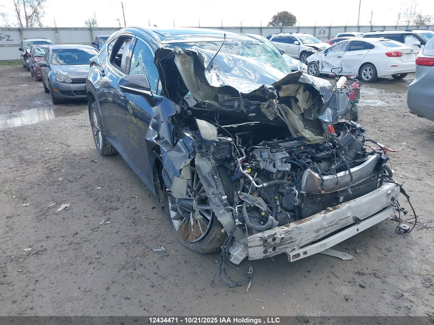2T2GKCEZ1RC021312 2024 Lexus Nx 350H 350H auction photo 1
