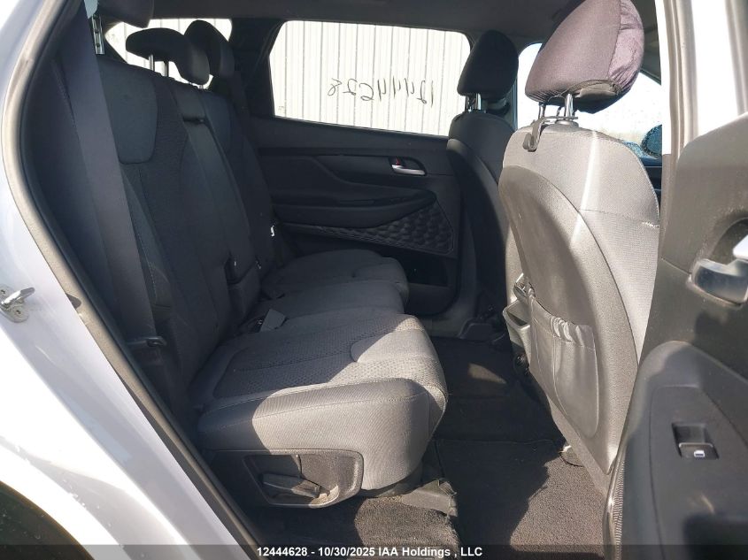 2019 Hyundai Santa Fe Se VIN: 5NMS2CADXKH099189 Lot: 12444628