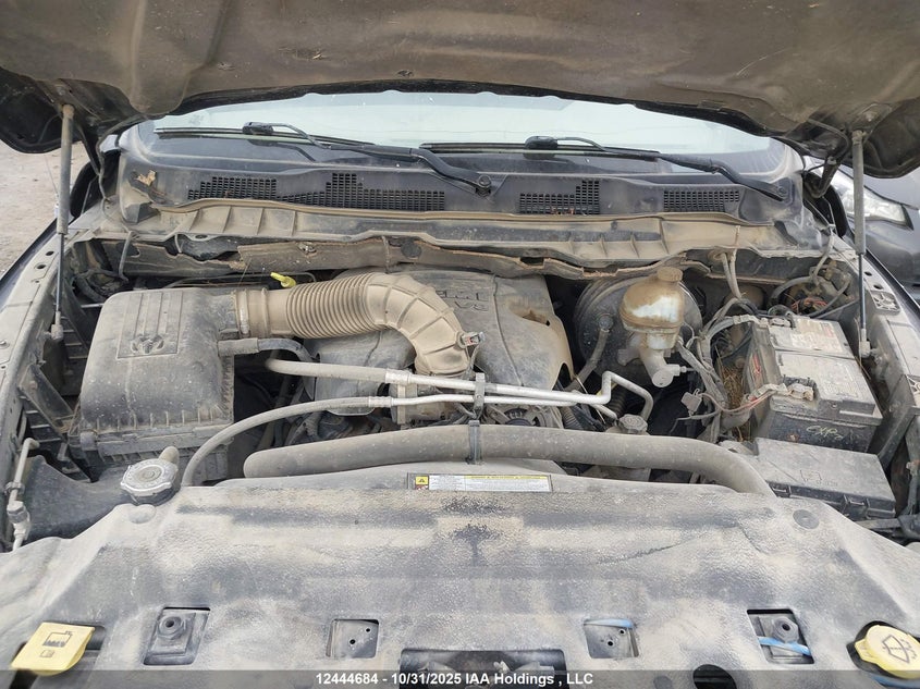 2011 Dodge Ram 1500 VIN: 1D7RV1GT4BS533884 Lot: 12444684