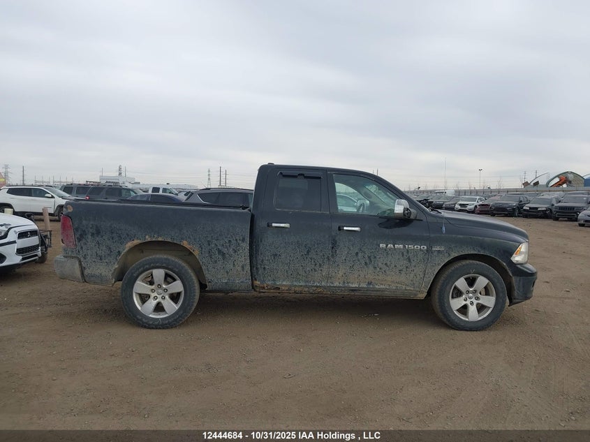 2011 Dodge Ram 1500 VIN: 1D7RV1GT4BS533884 Lot: 12444684