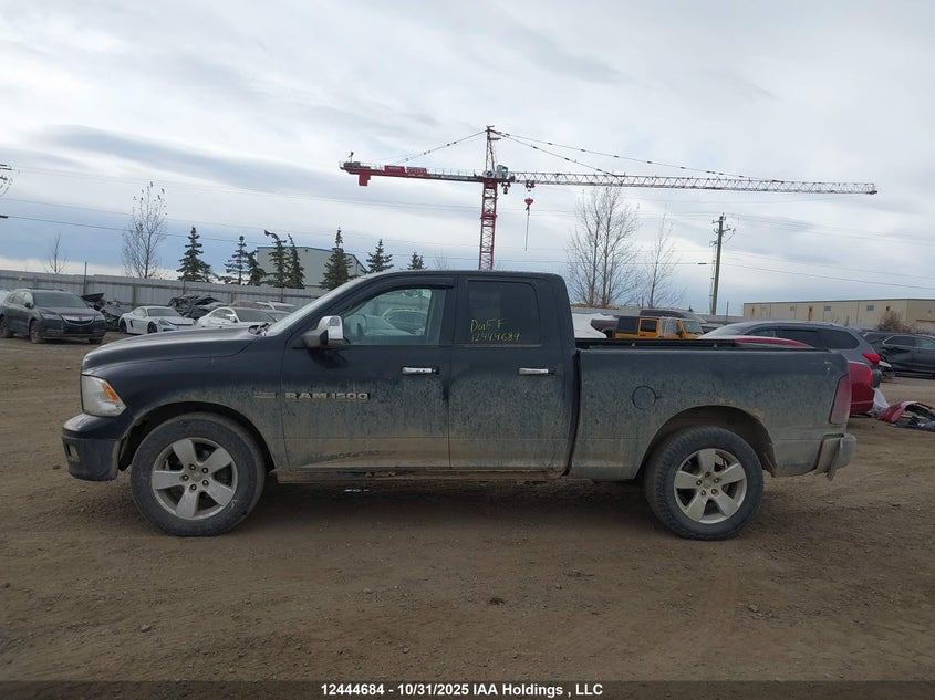 2011 Dodge Ram 1500 VIN: 1D7RV1GT4BS533884 Lot: 12444684