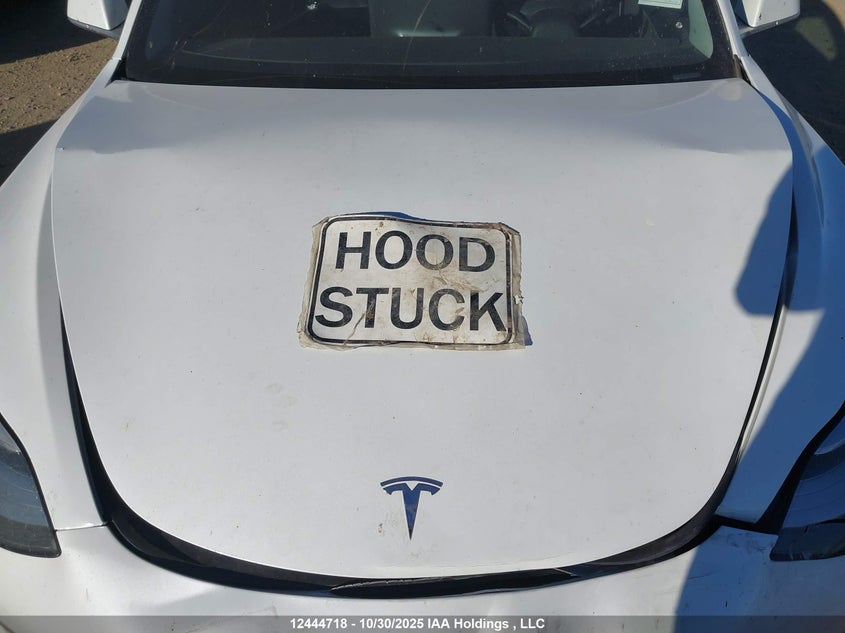 2019 Tesla Model 3 Long Range/Performance VIN: 5YJ3E1EBXKF448149 Lot: 12444718