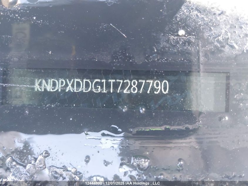 2026 Kia Sportage Hybrid VIN: KNDPXDDG1T7287790 Lot: 12444800