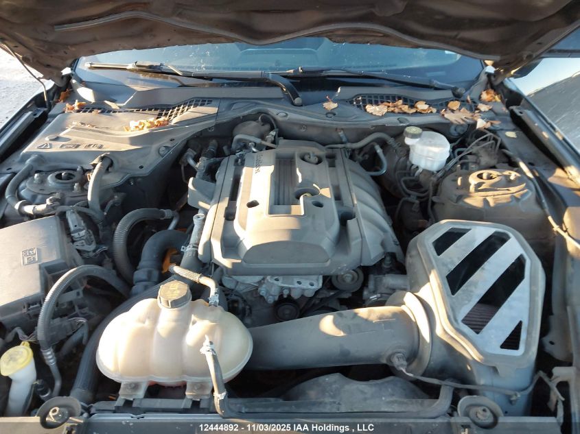 2019 Ford Mustang VIN: 1FA6P8TH5K5162756 Lot: 12444892