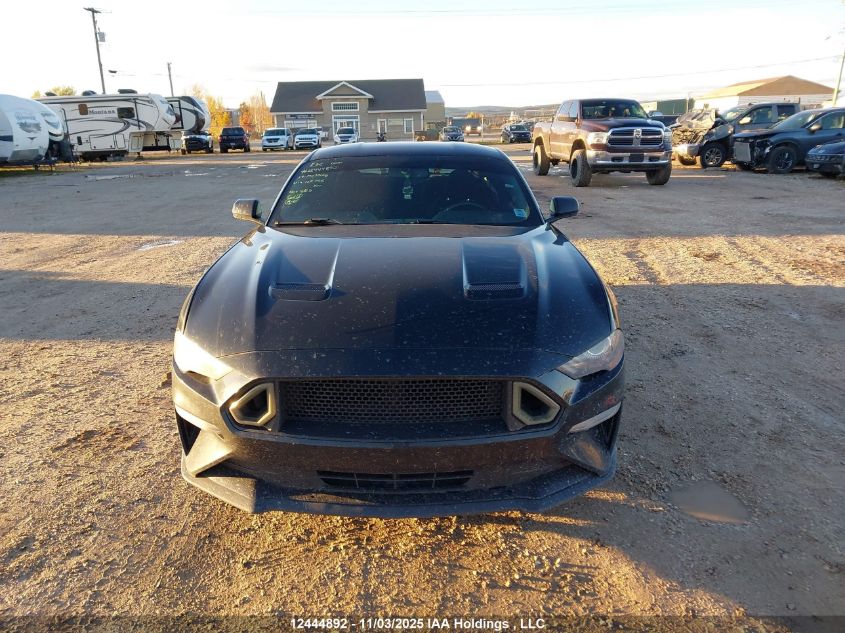 2019 Ford Mustang VIN: 1FA6P8TH5K5162756 Lot: 12444892