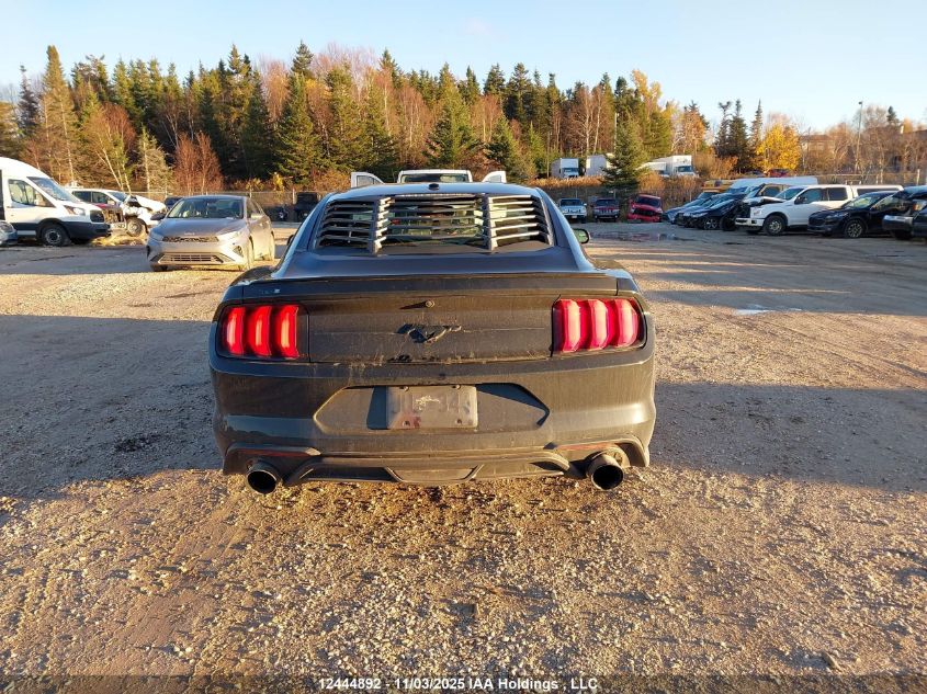 2019 Ford Mustang VIN: 1FA6P8TH5K5162756 Lot: 12444892