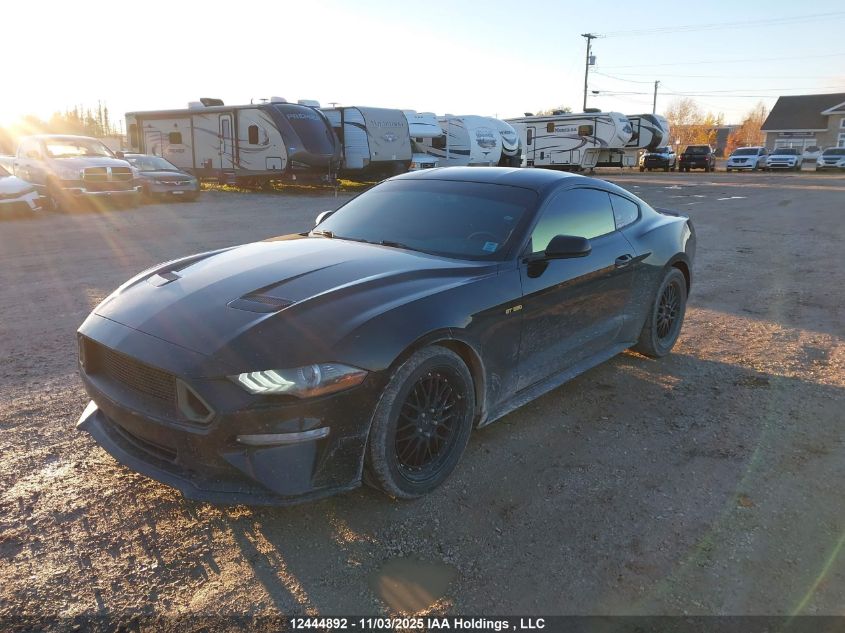2019 Ford Mustang VIN: 1FA6P8TH5K5162756 Lot: 12444892