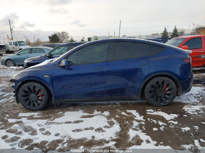 2022 Tesla Model Y VIN: 7SAYGDEF4NF309405 Lot: 12445028