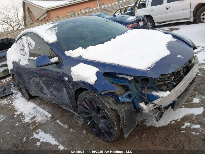 2022 Tesla Model Y VIN: 7SAYGDEF4NF309405 Lot: 12445028