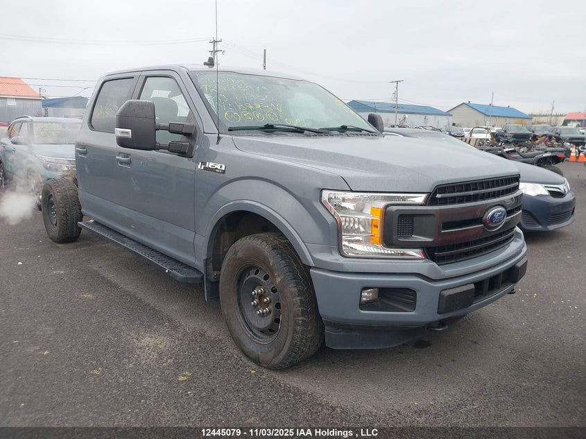 1FTFW1E44KFB72316 2019 Ford F-150 Xlt auction photo 1