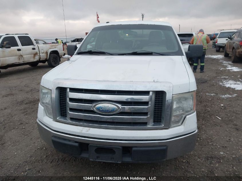 2009 Ford F-150 Stx/Xl/Xlt VIN: 1FTRX12829KA38634 Lot: 12445116