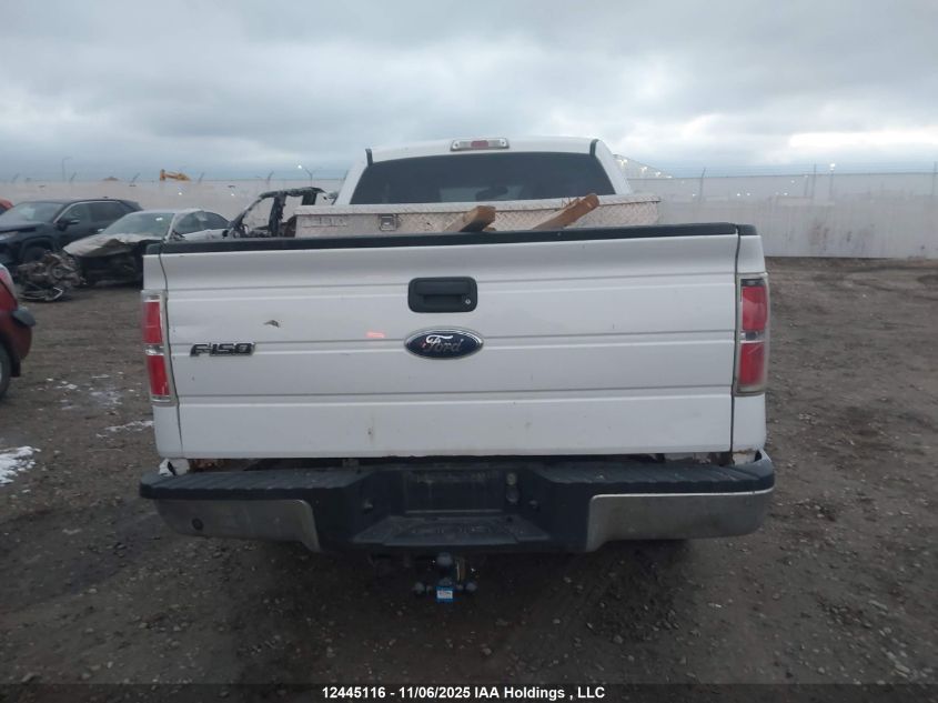 2009 Ford F-150 Stx/Xl/Xlt VIN: 1FTRX12829KA38634 Lot: 12445116