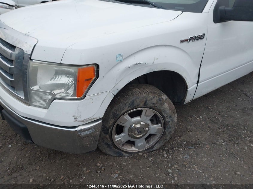 2009 Ford F-150 Stx/Xl/Xlt VIN: 1FTRX12829KA38634 Lot: 12445116