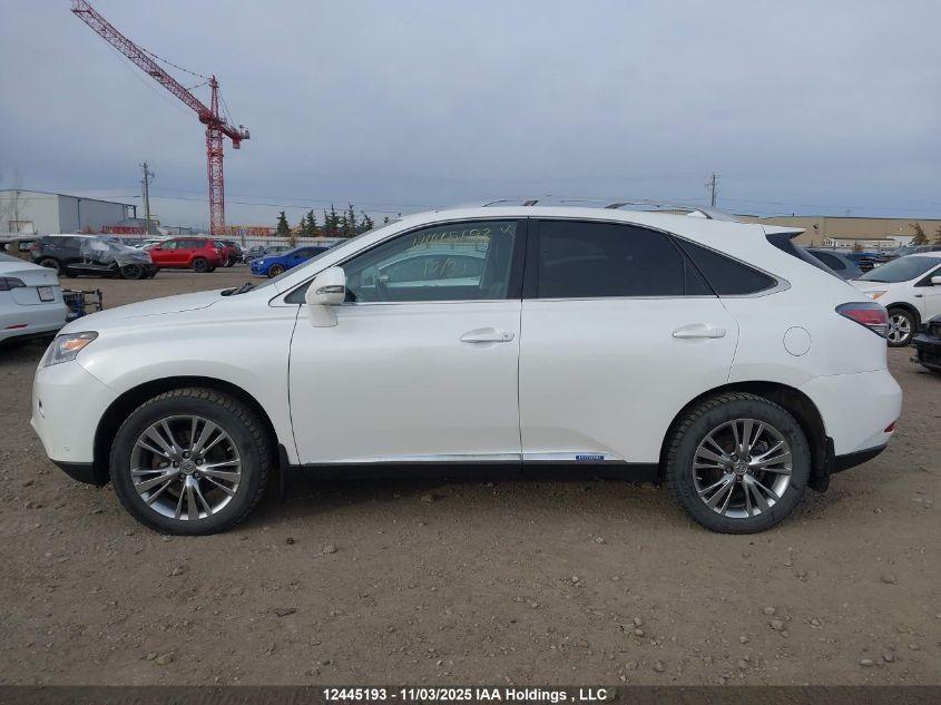 2014 Lexus Rx 450 VIN: JTJBC1BA6E2452684 Lot: 12445193