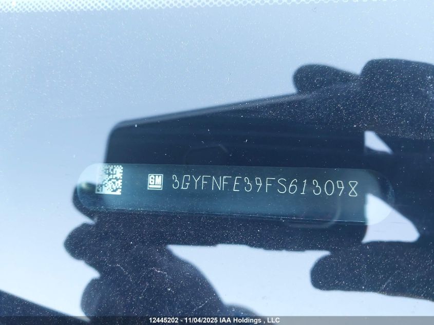 2015 Cadillac Srx VIN: 3GYFNFE39FS613098 Lot: 12445202