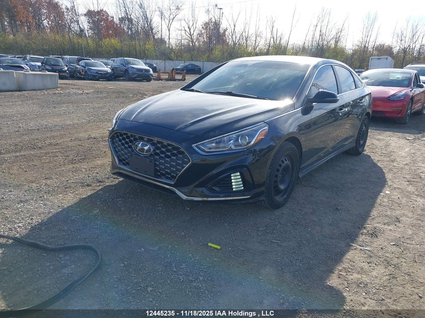 2019 Hyundai Sonata black  gas 5NPE34AF9KH785065 photo #3