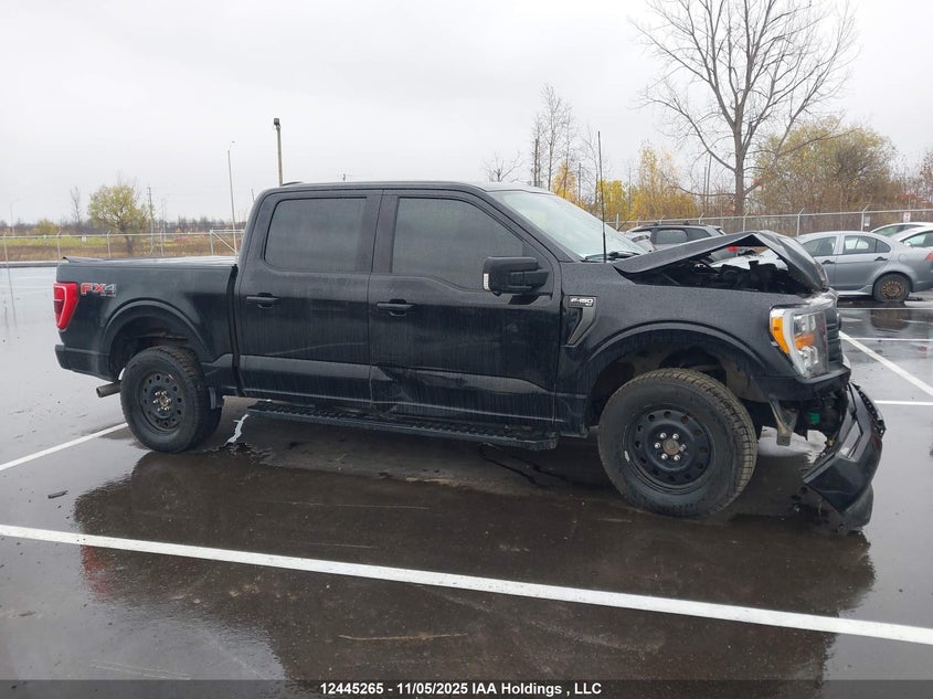 2022 Ford F-150 Xlt VIN: 1FTFW1E82NFA81309 Lot: 12445265