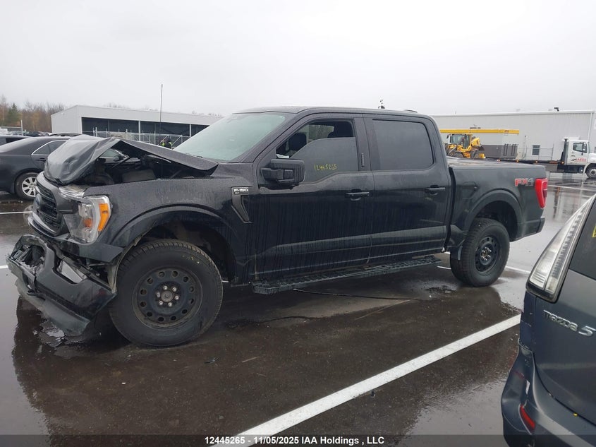 2022 Ford F-150 Xlt VIN: 1FTFW1E82NFA81309 Lot: 12445265