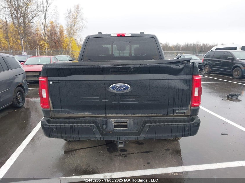 2022 Ford F-150 Xlt VIN: 1FTFW1E82NFA81309 Lot: 12445265