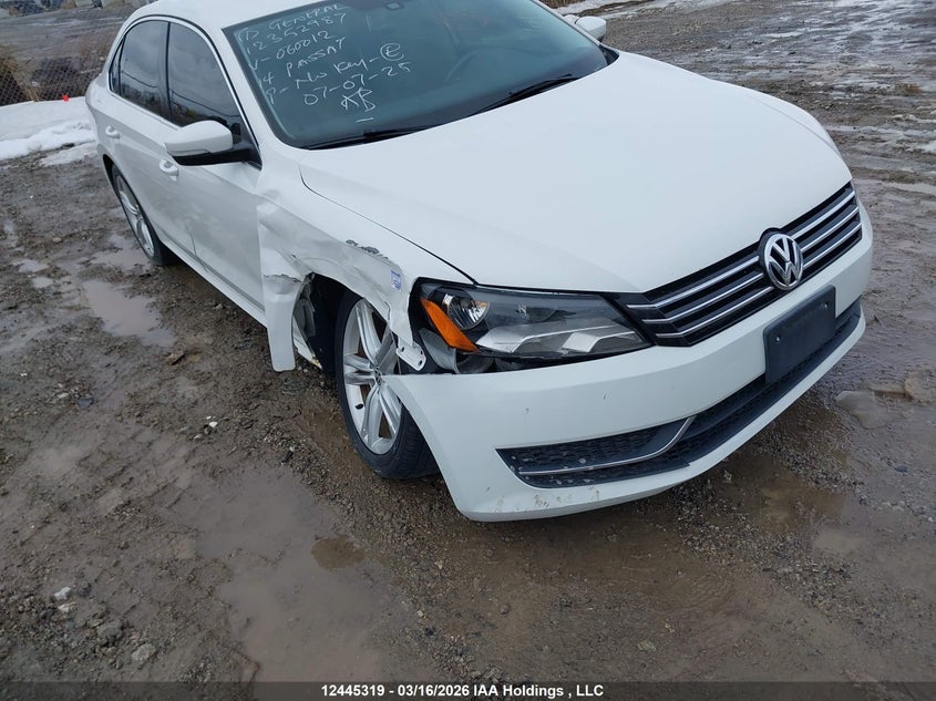 2014 Volkswagen Passat VIN: 1VWBS7A39EC060012 Lot: 12445319