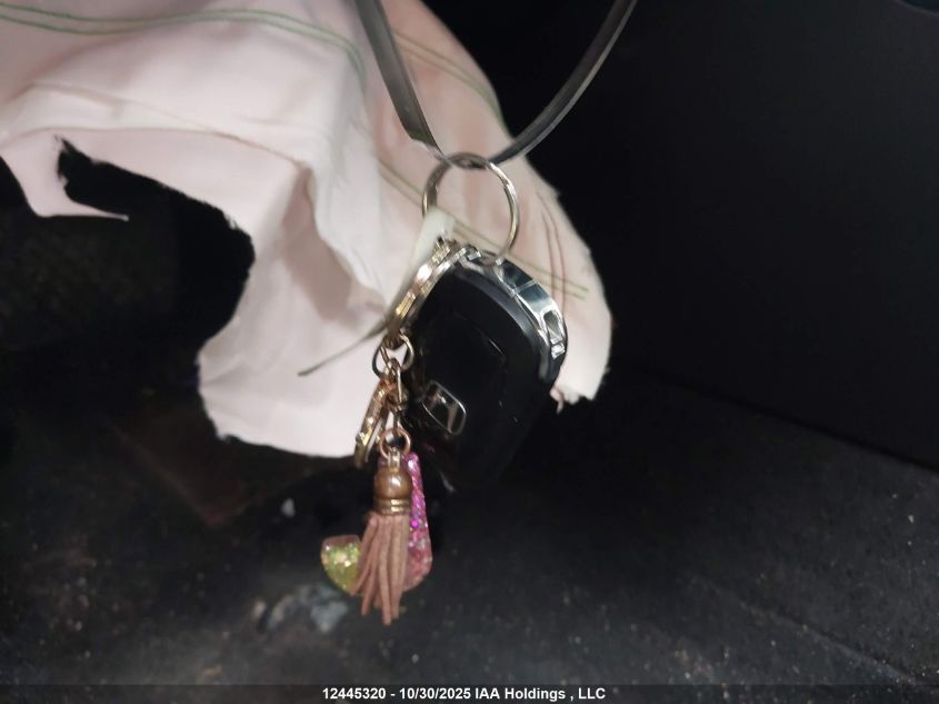 2023 Honda Civic Touring VIN: 2HGFE1F94PH001196 Lot: 12445320