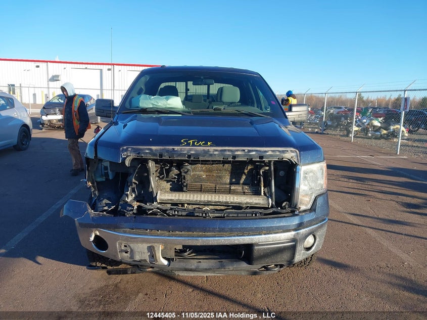 1FTFW1EF5EKF98884 2014 FORD F-150 photo no. 10