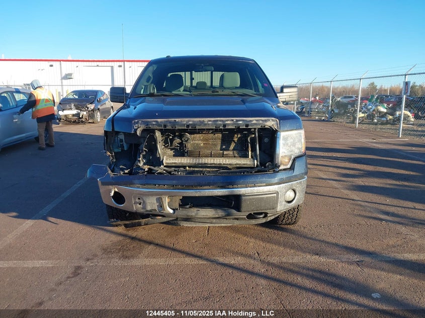 1FTFW1EF5EKF98884 2014 FORD F-150 photo no. 12