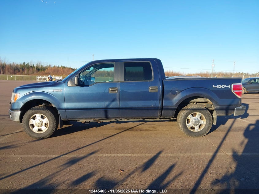 1FTFW1EF5EKF98884 2014 FORD F-150 photo no. 14
