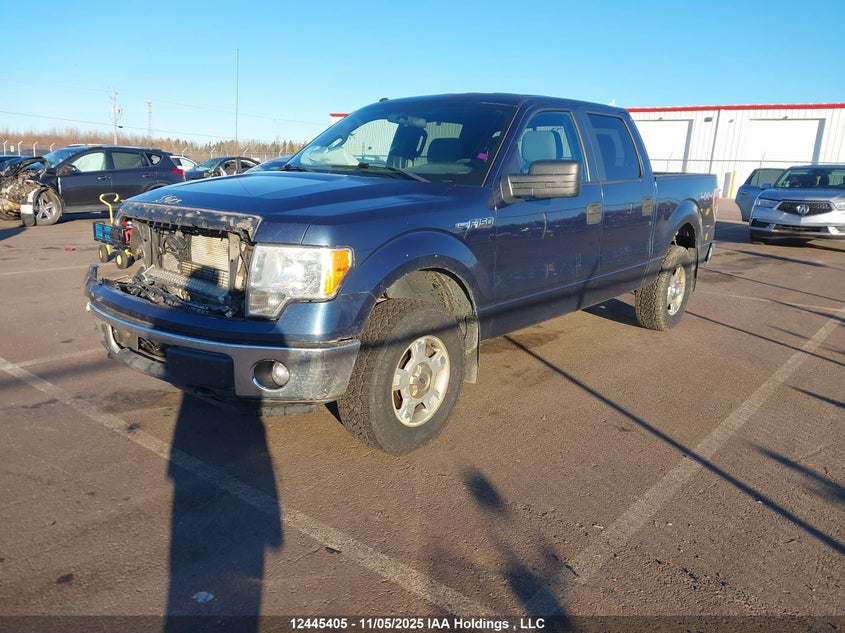 1FTFW1EF5EKF98884 2014 FORD F-150 photo no. 6