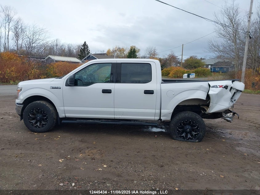 1FTEW1EP7LKD62707 2020 FORD F-150 photo no. 14