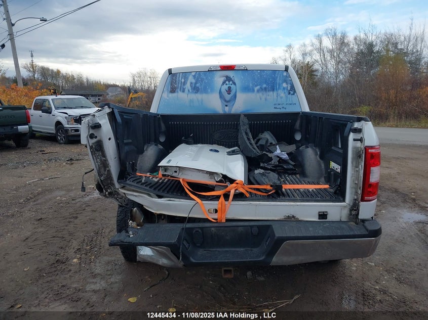 1FTEW1EP7LKD62707 2020 FORD F-150 photo no. 16