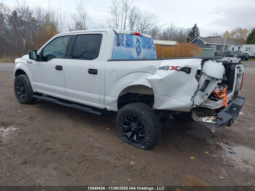 1FTEW1EP7LKD62707 2020 FORD F-150 photo no. 3