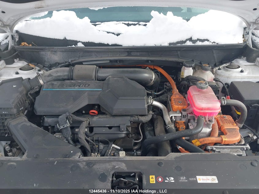 KM8JCCD13RU196307 2024 HYUNDAI TUCSON photo no. 10