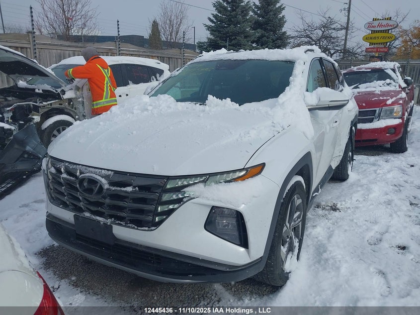 KM8JCCD13RU196307 2024 HYUNDAI TUCSON photo no. 12