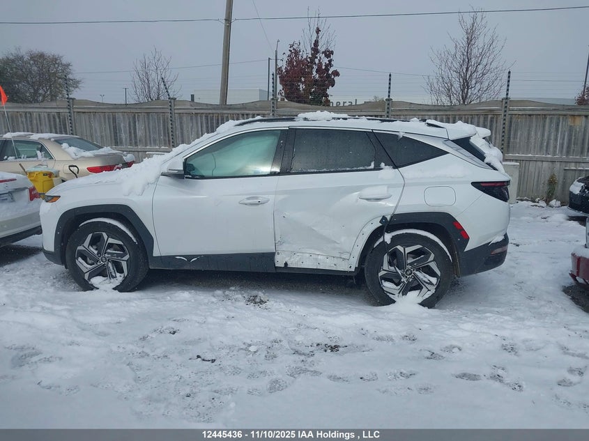 KM8JCCD13RU196307 2024 HYUNDAI TUCSON photo no. 14