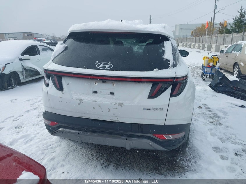 KM8JCCD13RU196307 2024 HYUNDAI TUCSON photo no. 16