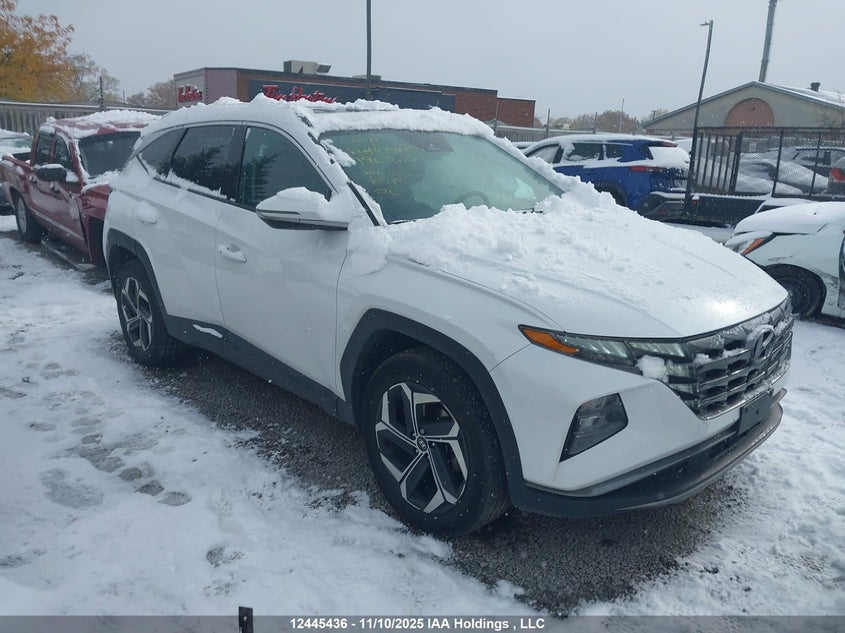 KM8JCCD13RU196307 2024 HYUNDAI TUCSON photo no. 21