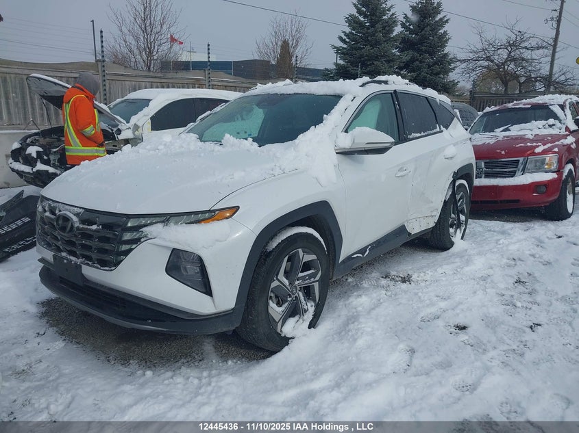 KM8JCCD13RU196307 2024 HYUNDAI TUCSON photo no. 2