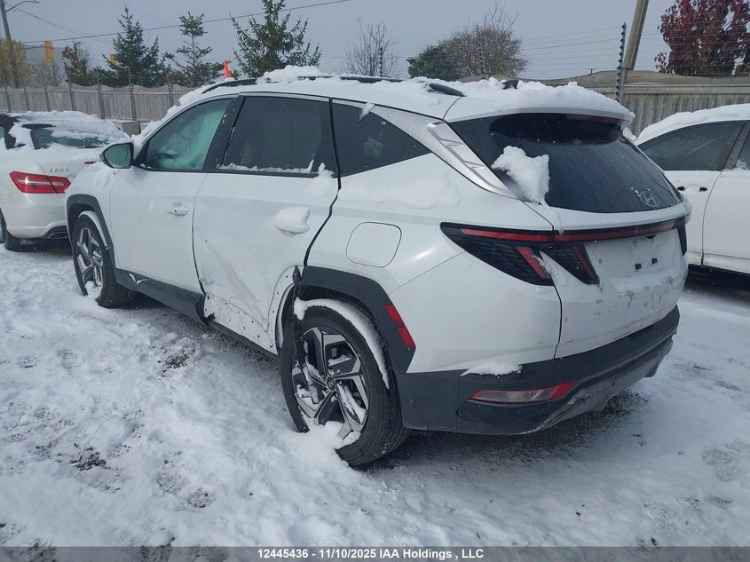 KM8JCCD13RU196307 2024 HYUNDAI TUCSON photo no. 3
