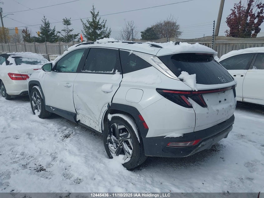 KM8JCCD13RU196307 2024 HYUNDAI TUCSON photo no. 6