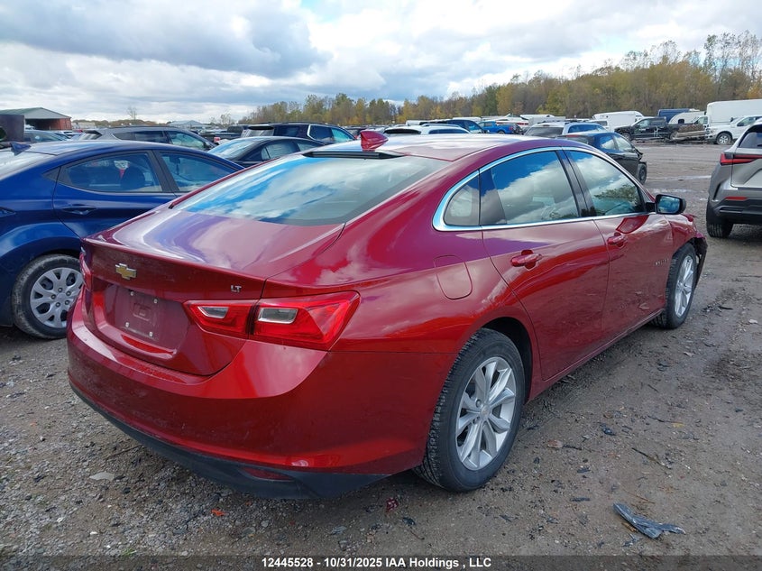 1G1ZD5ST8PF239263 2023 CHEVROLET MALIBU photo no. 4